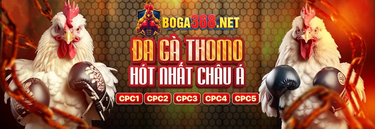 Tối ưu hóa trò chơi Slot và Bắn cá